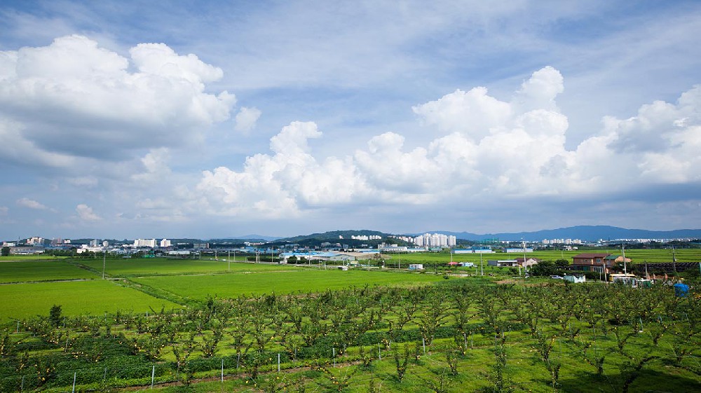 甘南藏族自治州山东省临沂沂南县农…