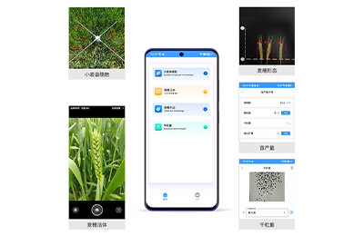 甘南藏族自治州小麦亩穗数测量仪IN-XM…