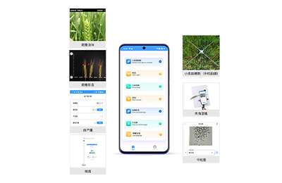 甘南藏族自治州小麦表型检测仪IN-XM04